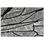 Bienenflügel III, Linoldruck auf Papier, 52 × 78 cm