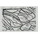 Bienenflügel mit Hamuli, Linoldruck auf Papier, 26 × 39 cm