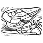 Bienenflügel Klein, Linoldruck auf Papier, 18 × 26 cm