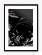 Altweibersommer No.II – Bild 2