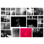 Schutzbefohlene – Bild 2