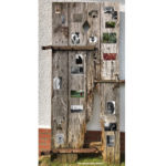 Ein Jahrhundertleben! Unikat