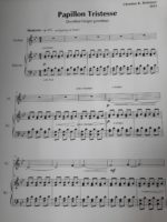 Papillon Tristesse – Bild 2