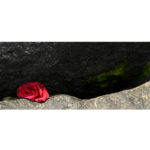 Verklemmt – Bild 2