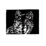 Wolf frontal I, Linoldruck auf Papier, 13 × 20 cm