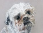 Tierportrait nach Fotovorlage 21x30cm