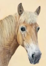 Tierportrait nach Fotovorlage 21x30cm – Bild 2