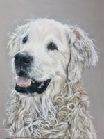 Tierportrait nach Fotovorlage 18x24cm