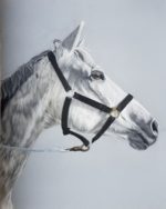 Tierportrait nach Fotovorlage 18x24cm – Bild 2