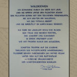 Waldkiemen - Gedicht von Jan-Christian Petersen