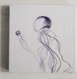 Quallen jellyfish Medusen – Bild 4