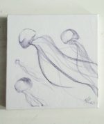 Quallen jellyfish Medusen – Bild 2