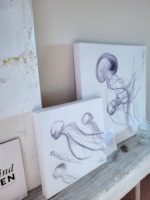 Quallen jellyfish Medusen – Bild 2