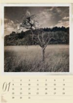 Kunst-Kalender Din A3 Hochformat – Bild 2