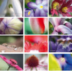 Übersicht über die Kalendermotive 2026